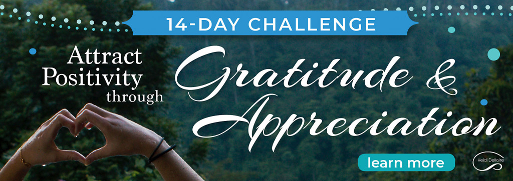 Gratitude Appreciation Challenge
